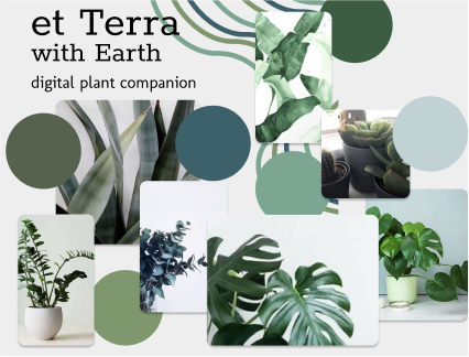 moodboard showing images of houseplants and cool blue and green colored circles
